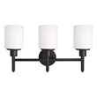 Bowery Hill Stainless Steel Vanity Light in Matte Black 3-Light