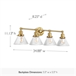 Bowery Hill 4-Light Stainless Steel Bath Vanity Light in Black/Gold