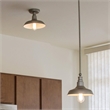 Bowery Hill Industrial Semi-Flush Indoor Ceiling Light in Galvanized Paint