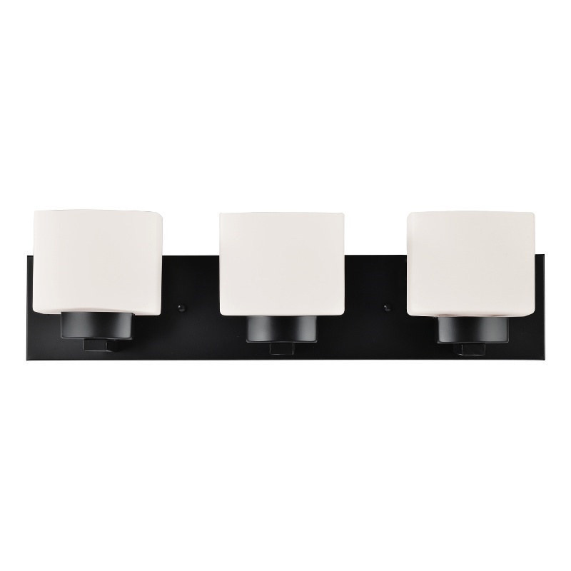 Bowery Hill 3-Light Stainless Steel Vanity Light in Matte Black