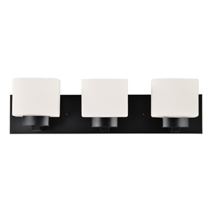 Bowery Hill 3-Light Stainless Steel Vanity Light in Matte Black