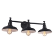 Bowery Hill Stainless Steel Vanity Light in Matte Black 3-Light