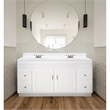 Bowery Hill 61-Inch Vanity with White Cultured Marble Top Fully Assembled