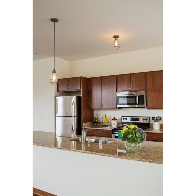 Bowery Hill Steel Indoor Semi-Flush Ceiling Mount Light in Coffee Bronze