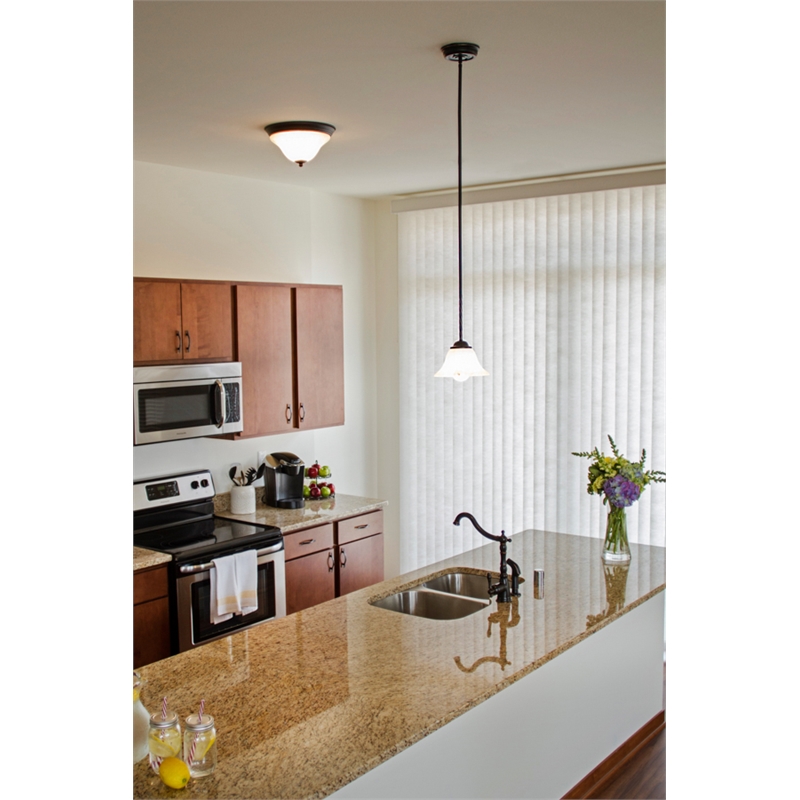 Bowery Hill 2-Light Dome Ceiling Mount Light in Oil-Rubbed Bronze