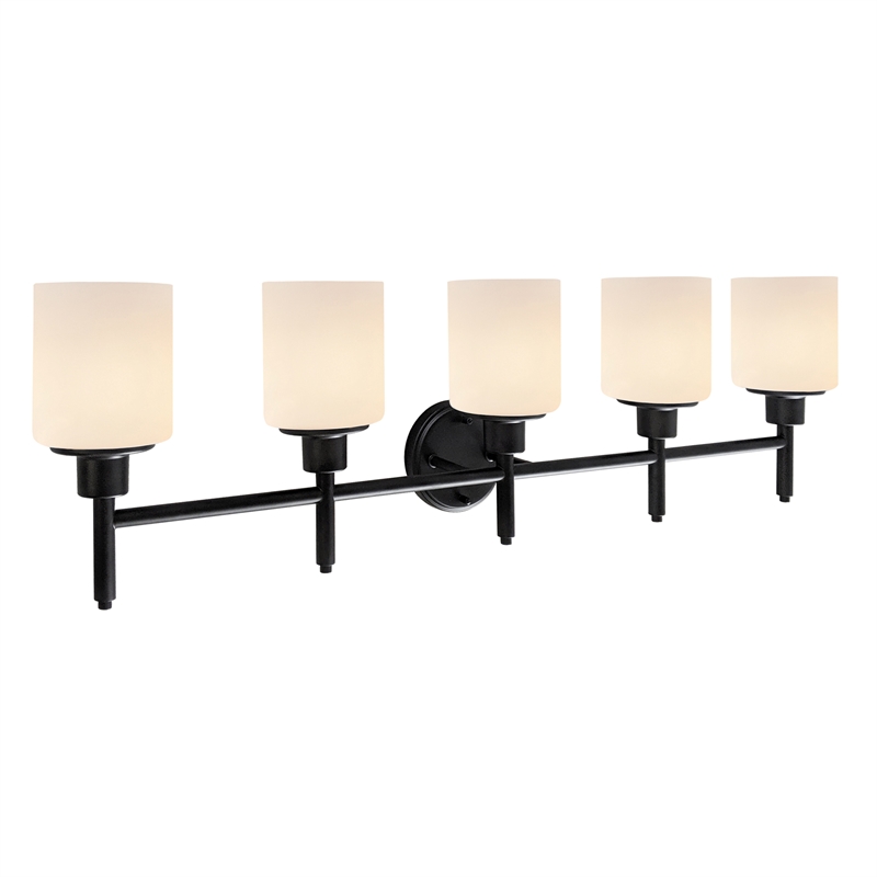 Bowery Hill 5-Light Frosted Glass Vanity Light in Matte Black