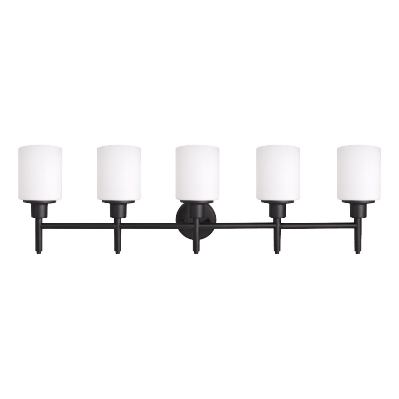 Bowery Hill 5-Light Frosted Glass Vanity Light in Matte Black