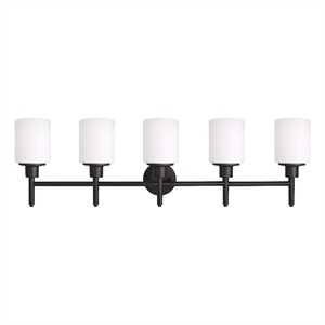 Bowery Hill 5-Light Frosted Glass Vanity Light in Matte Black