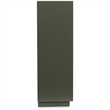 Bowery Hill Dark Green Accent Cabinet with Patterned Door Fronts