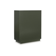 Bowery Hill Dark Green Accent Cabinet with Patterned Door Fronts