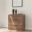 Bowery Hill Brown 2-Drawer Nightstand with a Rounded Walnut Top