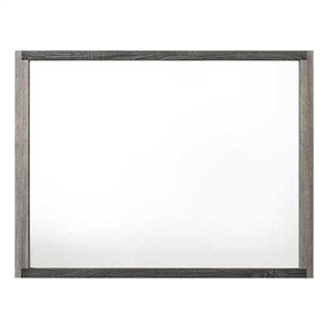 Bowery Hill Transitional Rectangular Mirror in Gray MDF and Glass
