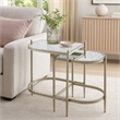Bowery Hill Oval Metal Nesting Tables with Tempered Glass in Silver Clear