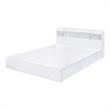 Bowery Hill Wood Queen Platform Bed with Storage Headboard in White