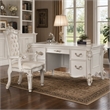 Bowery Hill Transitional Wooden Executive Writing Desk in Antique Pearl