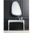 Bowery Hill Glass Wall Mirror with LED Lighting and Faux Diamonds