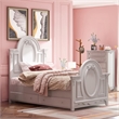 Bowery Hill Transitional Wooden Full Bed with 2 Drawers in Gray