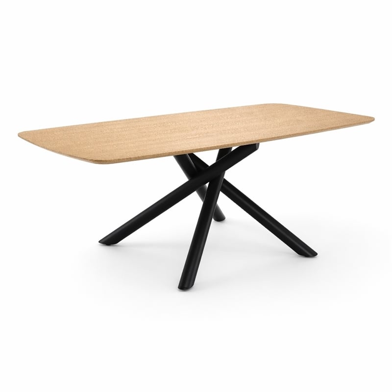 Bowery Hill Wood and Metal Rectangular Dining Table in Natural and Black