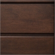 Bowery Hill Queen Wood Panel Bed in Walnut Finish