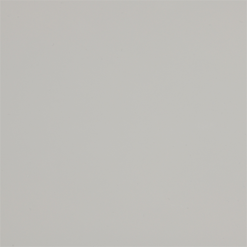 Bowery Hill Contemporary Wood Oval Dining Table in Bone White