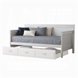 Bowery Hill Transitional Wooden Panel Twin Daybed in White Wood