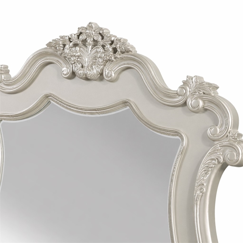 Bowery Hill Wooden Transitional Mirror with Scalloped Edges in Champagne