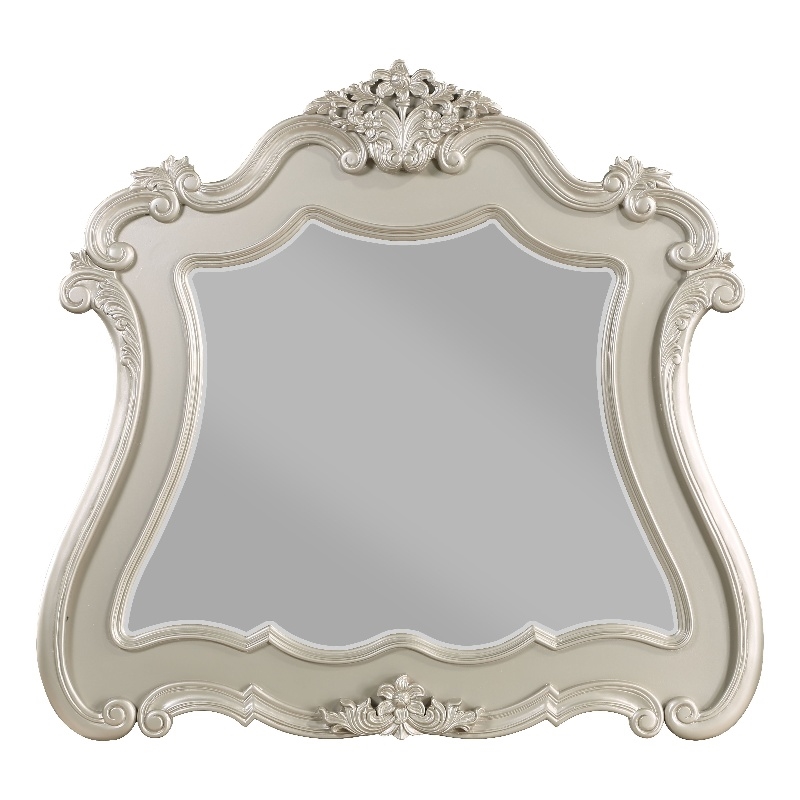 Bowery Hill Wooden Transitional Mirror with Scalloped Edges in Champagne