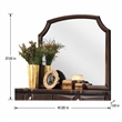 Bowery Hill Transitional Bedroom Mirror without Beveled Edge in Espresso