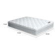 Bowery Hill 11 in Full Size Pillow Top Innerspring Mattress Medium Firm