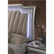 Bowery Hill Queen Faux Leather Storage Bed with LED in Champagne