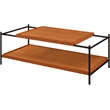 Bowery Hill Rectangular Wooden Coffee Table with Shelf in Honey Oak