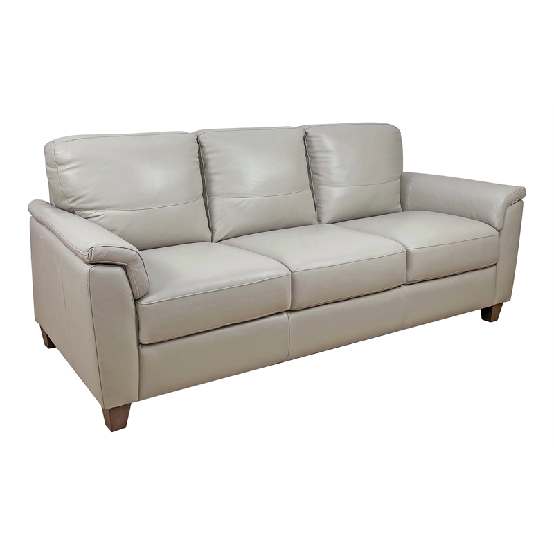 Bowery Hill Pillow Top Arm Sofa in Beige Leather with Wooden Inner Frame