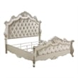 Bowery Hill Transitional Button Tufted Wooden Bed in Champagne Gold
