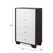Bowery Hill Wooden Rectangular Chest with 5 Drawers in White and Espresso