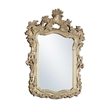 Bowery Hill Mirror with Hollow-Carved Floral and Scroll Design in Gold