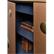 Bowery Hill Leather-Wrapped Hall Chest with Gold Accents in Brown