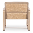 Bowery Hill Metal Framed Lounge Chair with Gold Frame in Brown