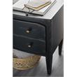 Bowery Hill 2-Drawer Wood Nightstand in Distressed Black