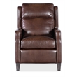Bowery Hill Nelson Power Recliner with Power Headrest in Brown Leather