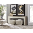 Bowery Hill Low Profile Console Table in Gray and White Wood Finish