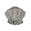 Bowery Hill Coastal Clam Shell Planter in Weathered Gray Terracotta