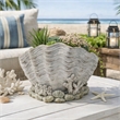 Bowery Hill Coastal Clam Shell Planter in Weathered Gray Terracotta
