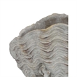 Bowery Hill Coastal Clam Shell Planter in Weathered Gray Terracotta