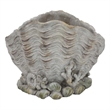 Bowery Hill Coastal Clam Shell Planter in Weathered Gray Terracotta