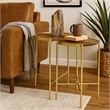 Bowery Hill 2 Piece Round Nesting Tables in Mango Wood and Gold Iron