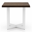 Bowery Hill Contemporary Wood End Table in Oak and White