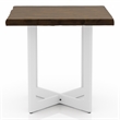 Bowery Hill Contemporary Wood End Table in Oak and White
