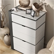 Bowery Hill Contemporary 5-Drawer Solid Wood Chest in White with Metallic Gray