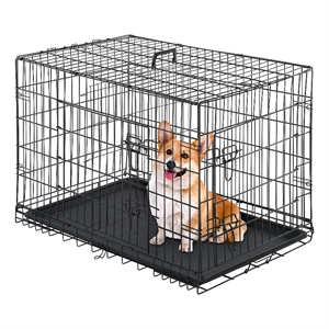 Bowery Hill 42&quot Metal Double-Door Dog Crate in Black