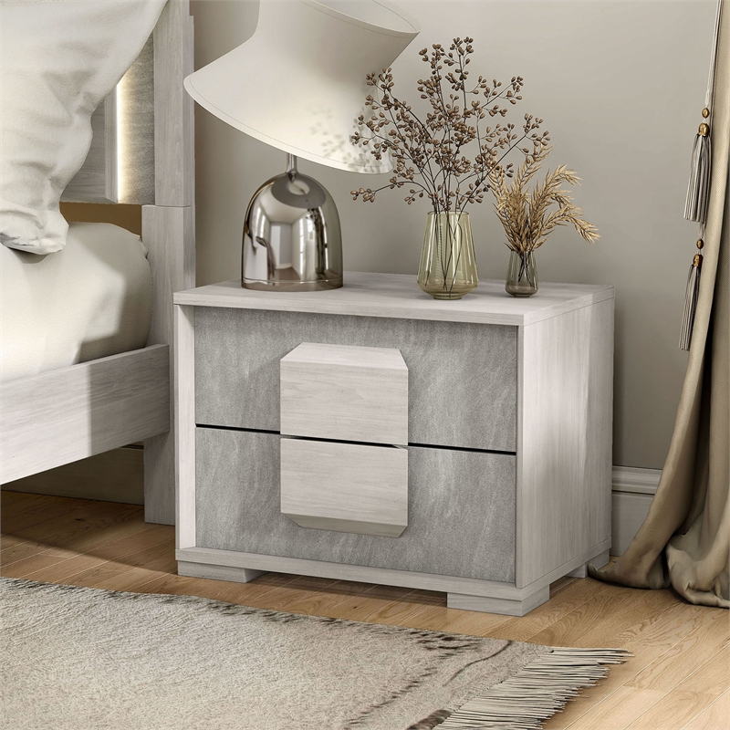 Bowery Hill Two-Tone Wood 2-Drawer Nightstand in Washed White